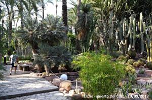 19 ELCHE HUERTO DEL CURA (108)